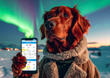 Nuevo curso técnico de inteligencia artificial: entrenamiento de modelos de machine learning